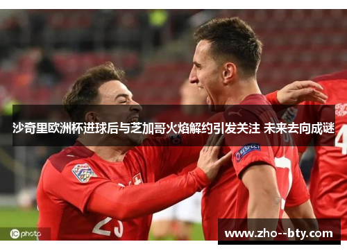 沙奇里欧洲杯进球后与芝加哥火焰解约引发关注 未来去向成谜 沙奇里欧洲杯进球后与芝加哥火焰解约引发关注 未来去向成谜